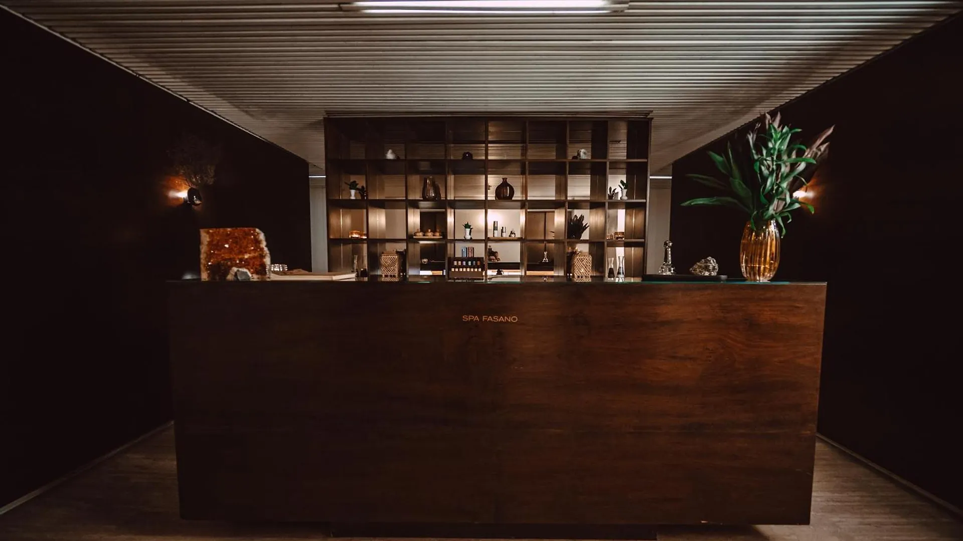 Hotel Fasano São Paulo 5*,